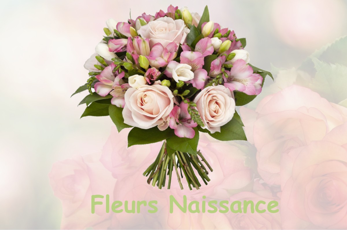 fleurs naissance BIEF-DU-FOURG