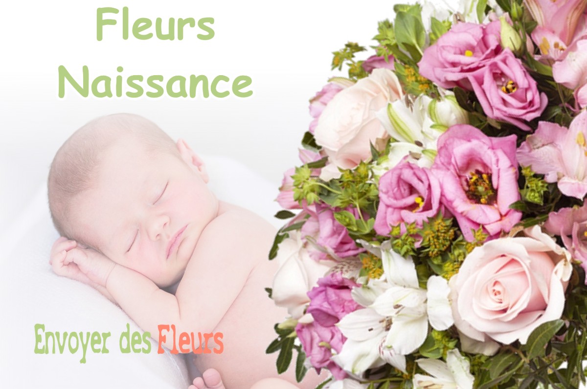 lIVRAISON FLEURS NAISSANCE à BIEF-DU-FOURG